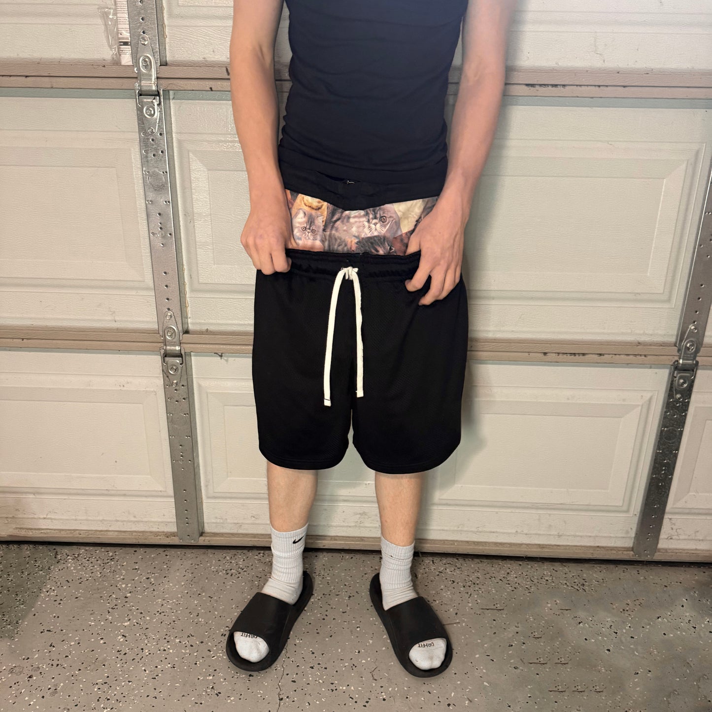 catsketball shorts