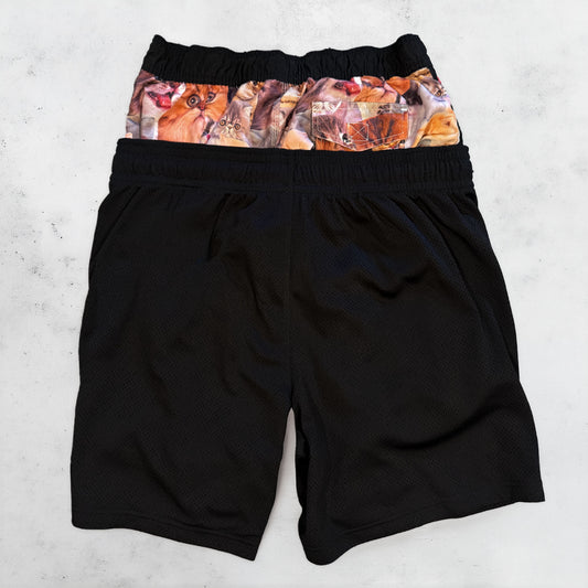 catsketball shorts