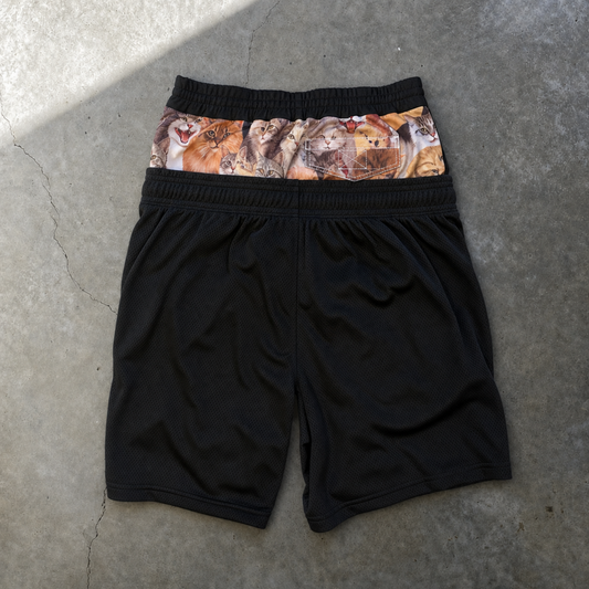 catsketball shorts