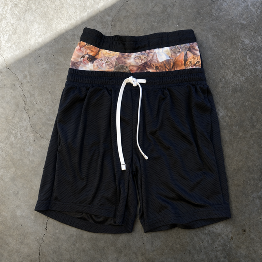 catsketball shorts
