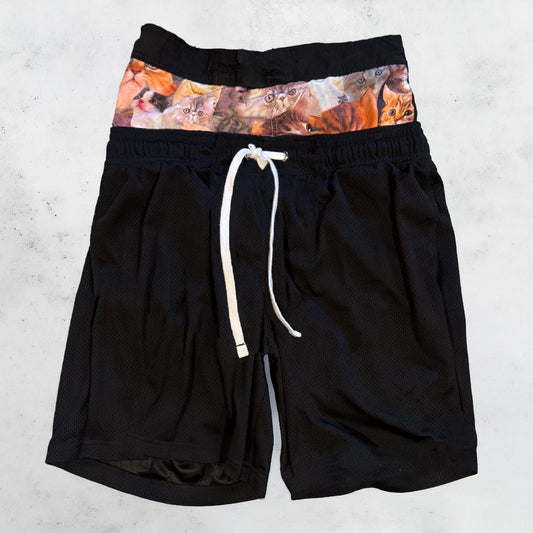 catsketball shorts